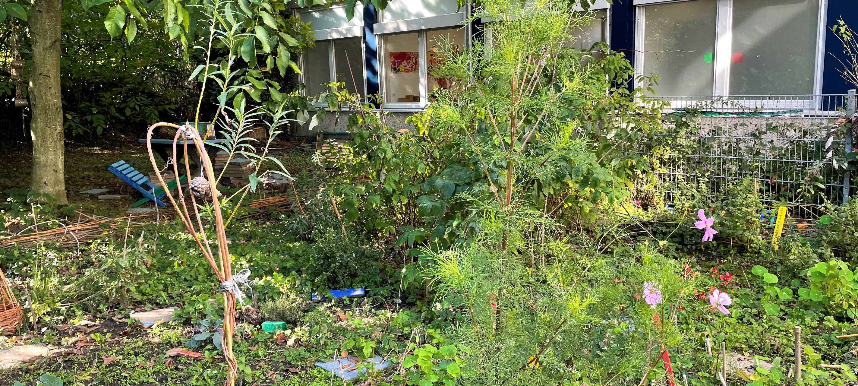 Schmetterlingsfreundliche Gärten in Schulen und Kitas