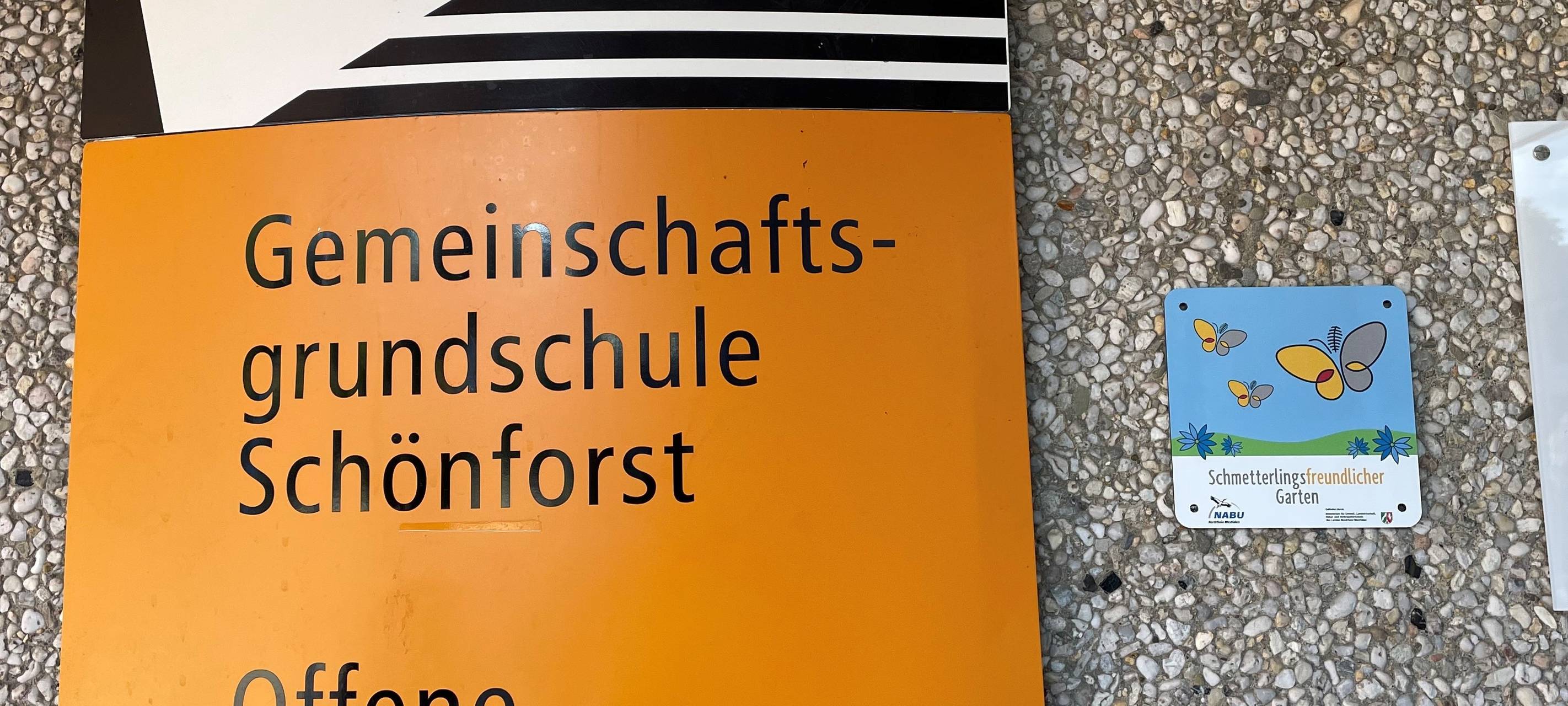 Schmetterlingsfreundliche Gärten in Schulen und Kitas