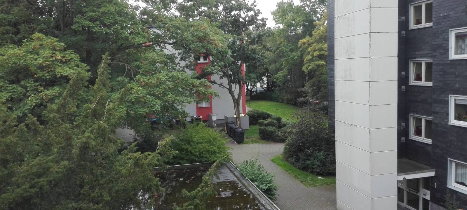 Befragung zum Leben auf dem D-Hof