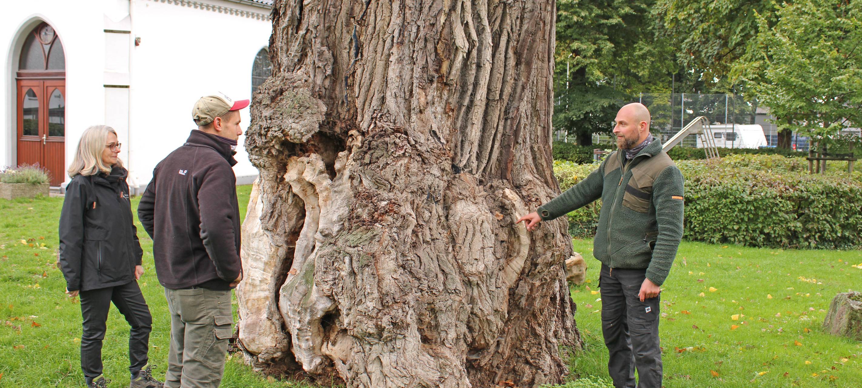 Weiter Sorge um Pleyer Pappel