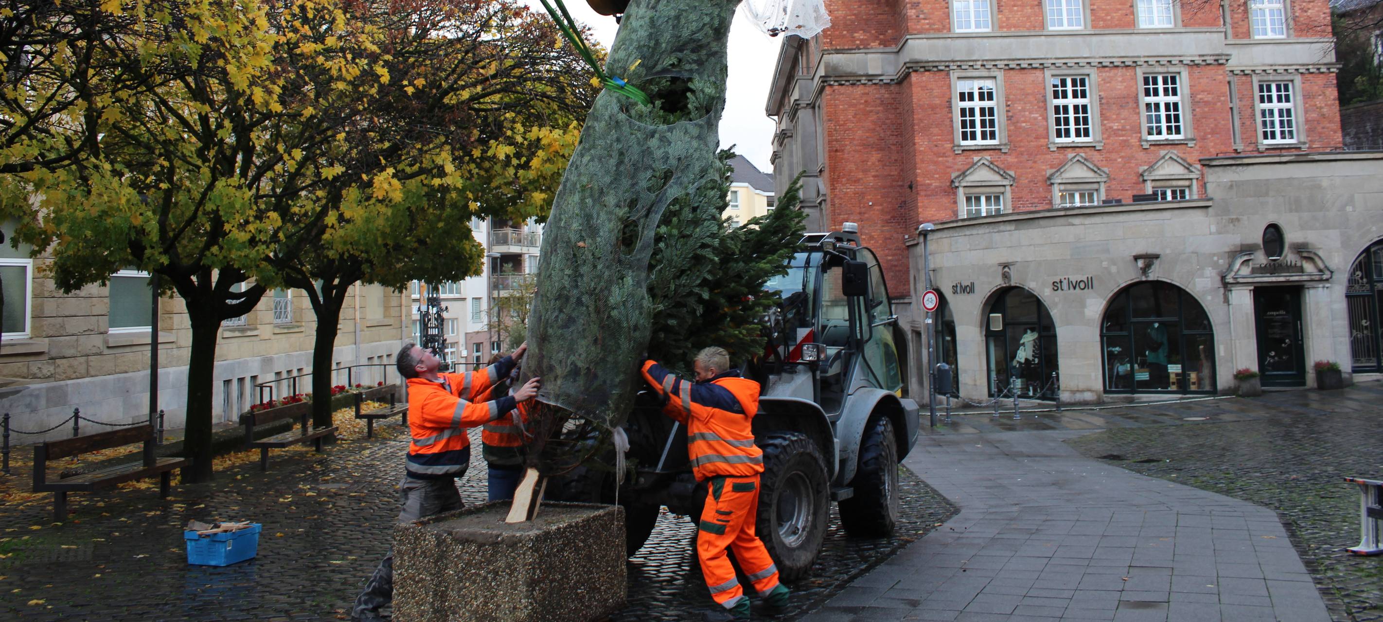 Aachen: Weihnachtsbäume für Bezirke und Einrichtungen