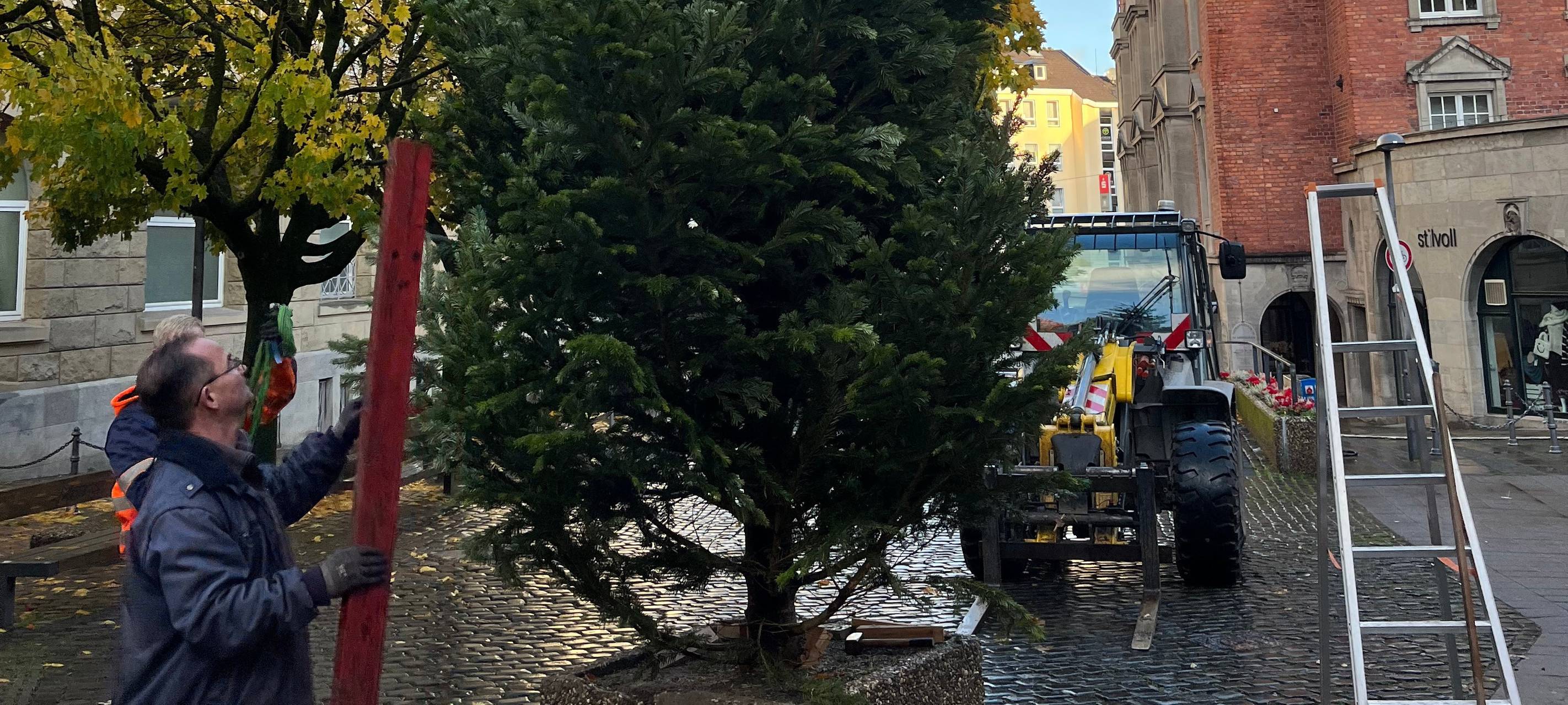 Aachen: Weihnachtsbäume für Bezirke und Einrichtungen