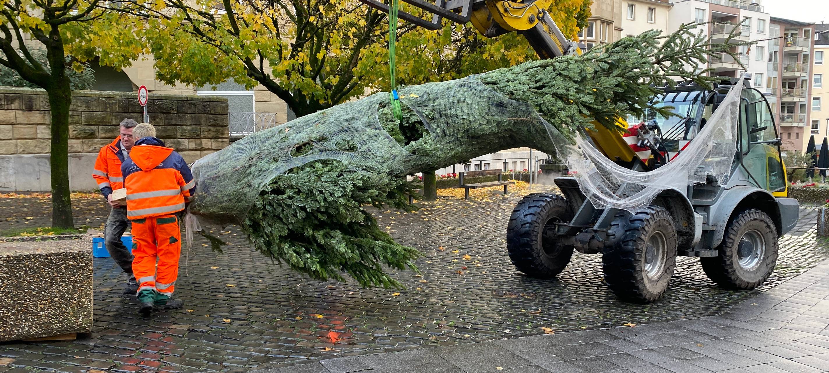 Aachen: Weihnachtsbäume für Bezirke und Einrichtungen