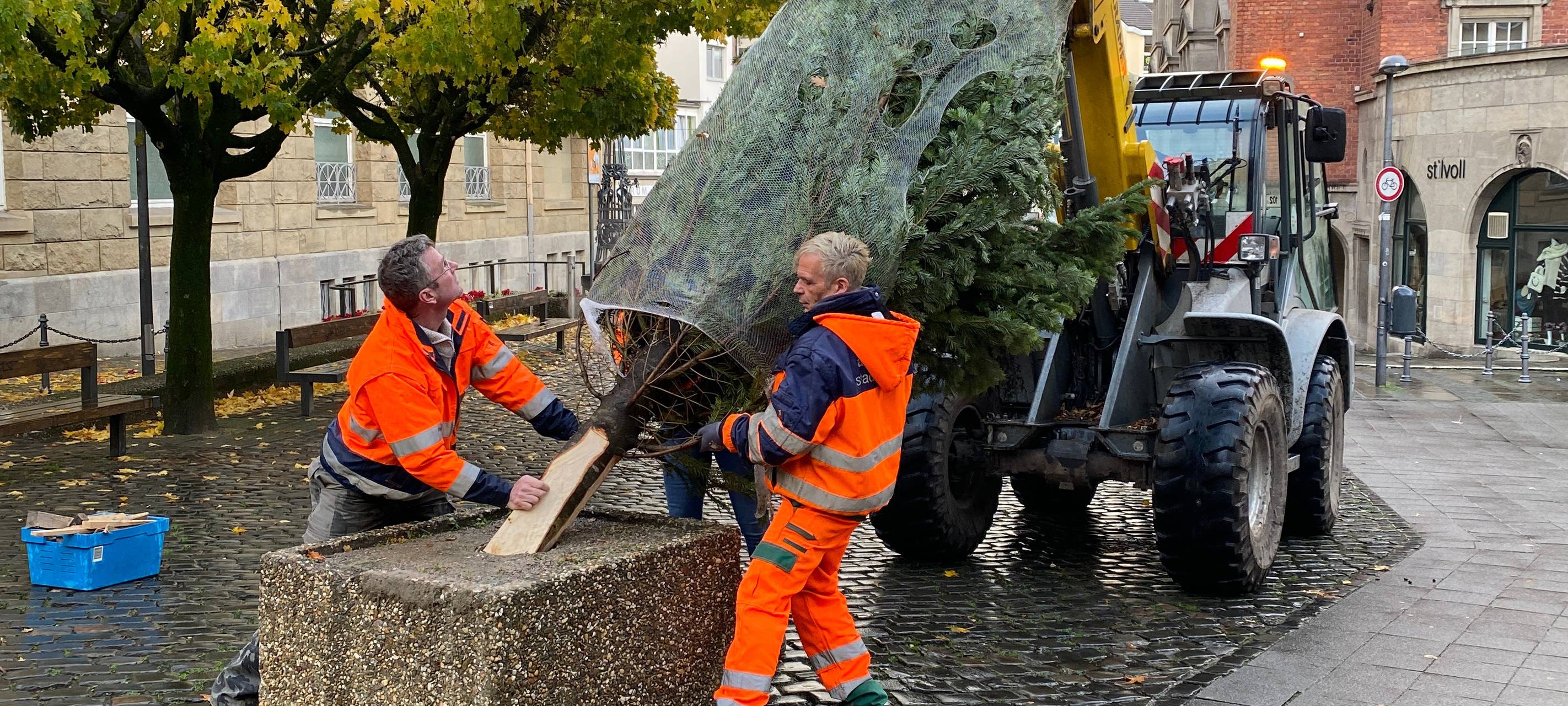 Aachen: Weihnachtsbäume für Bezirke und Einrichtungen