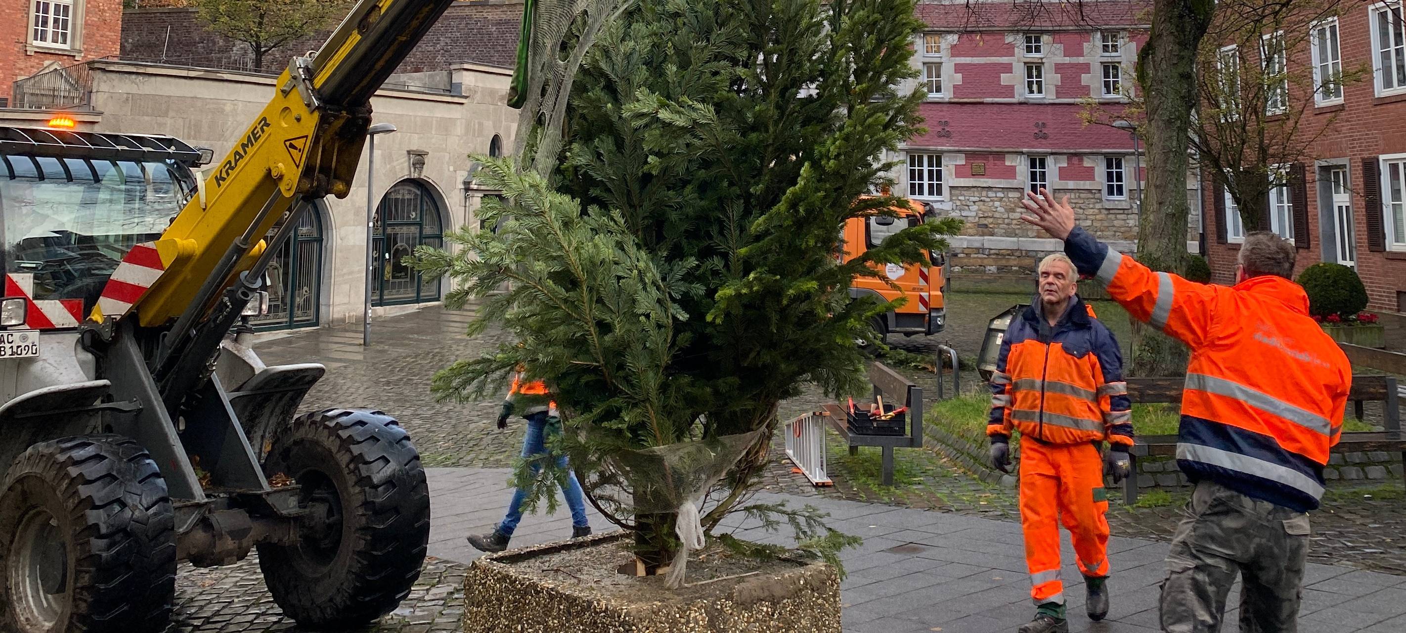 Aachen: Weihnachtsbäume für Bezirke und Einrichtungen