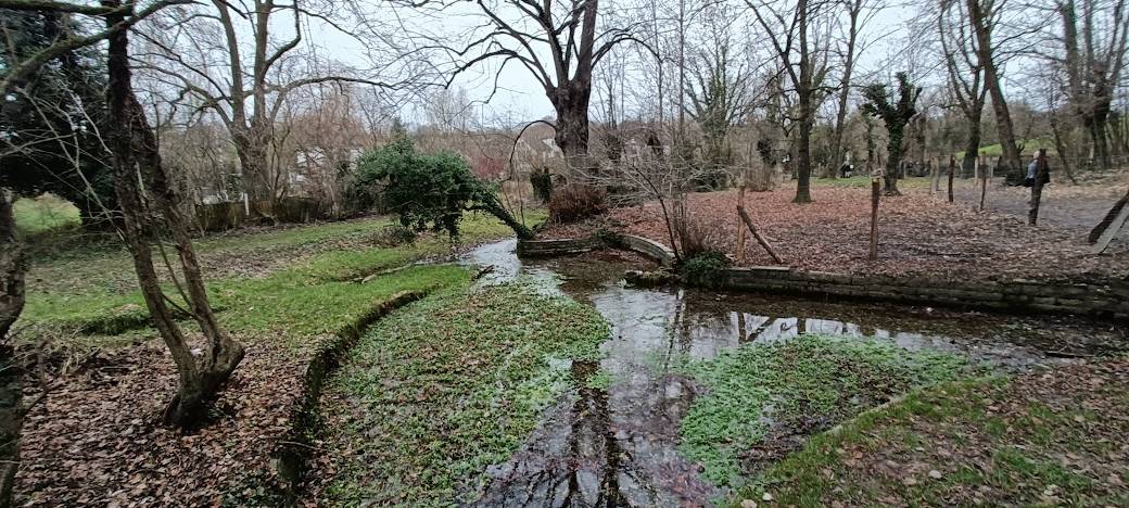 NABU-Sorgen um NSG Seffent