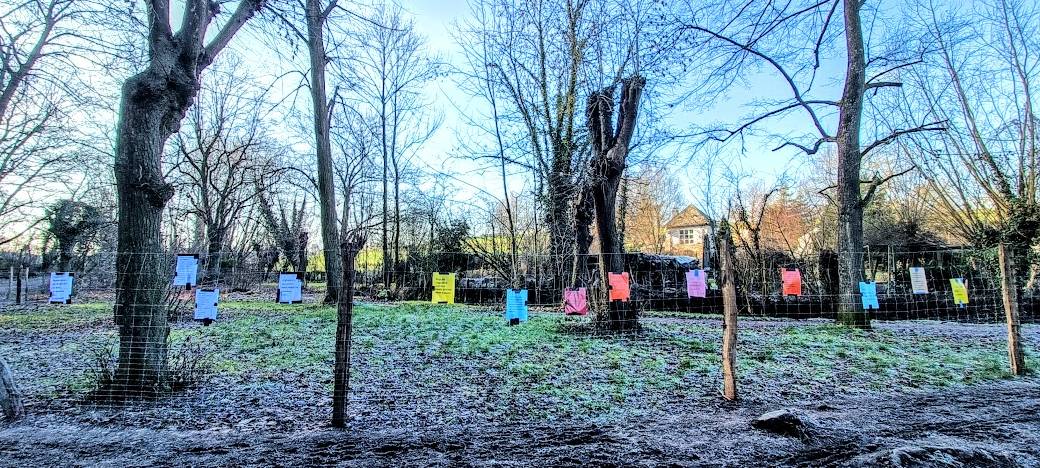 NABU-Sorgen um NSG Seffent