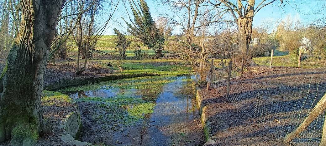 NABU-Sorgen um NSG Seffent