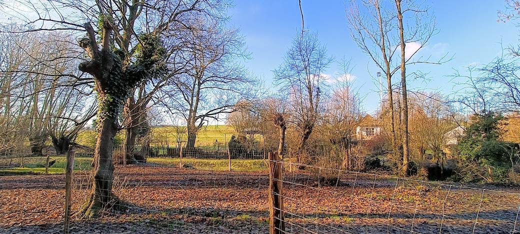 NABU-Sorgen um NSG Seffent