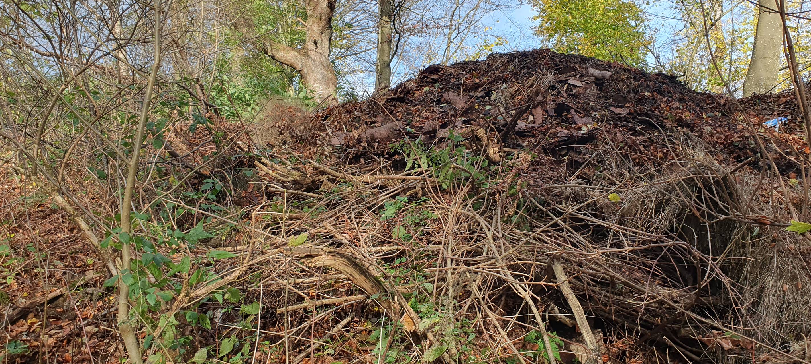 Containerweise wilder Müll im Naturschutzgebiet Fuhrtsbachtal