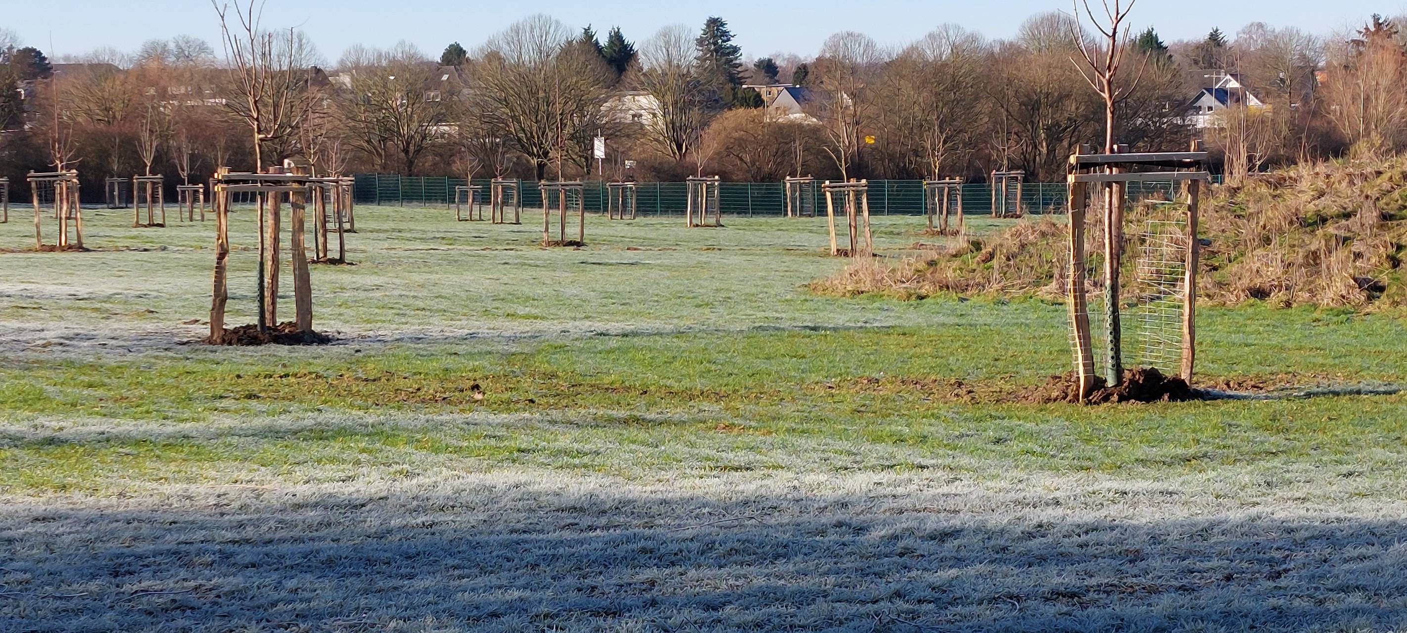 Neue große Streuobstwiese in Aachen