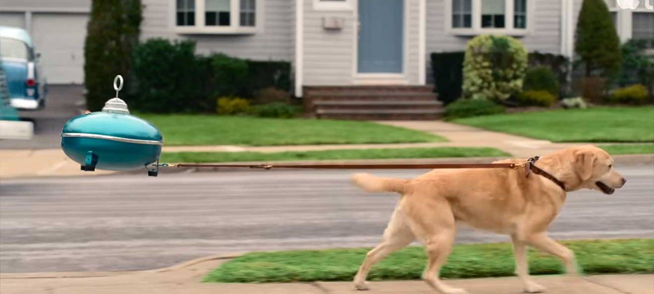Gassi gehen mit dem Hund.