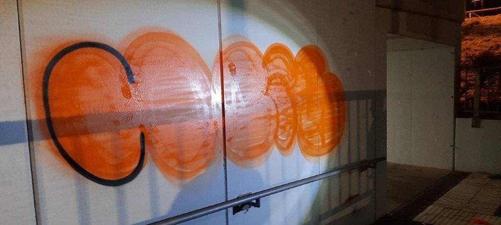 Mutmaßlicher Sprayer erwischt