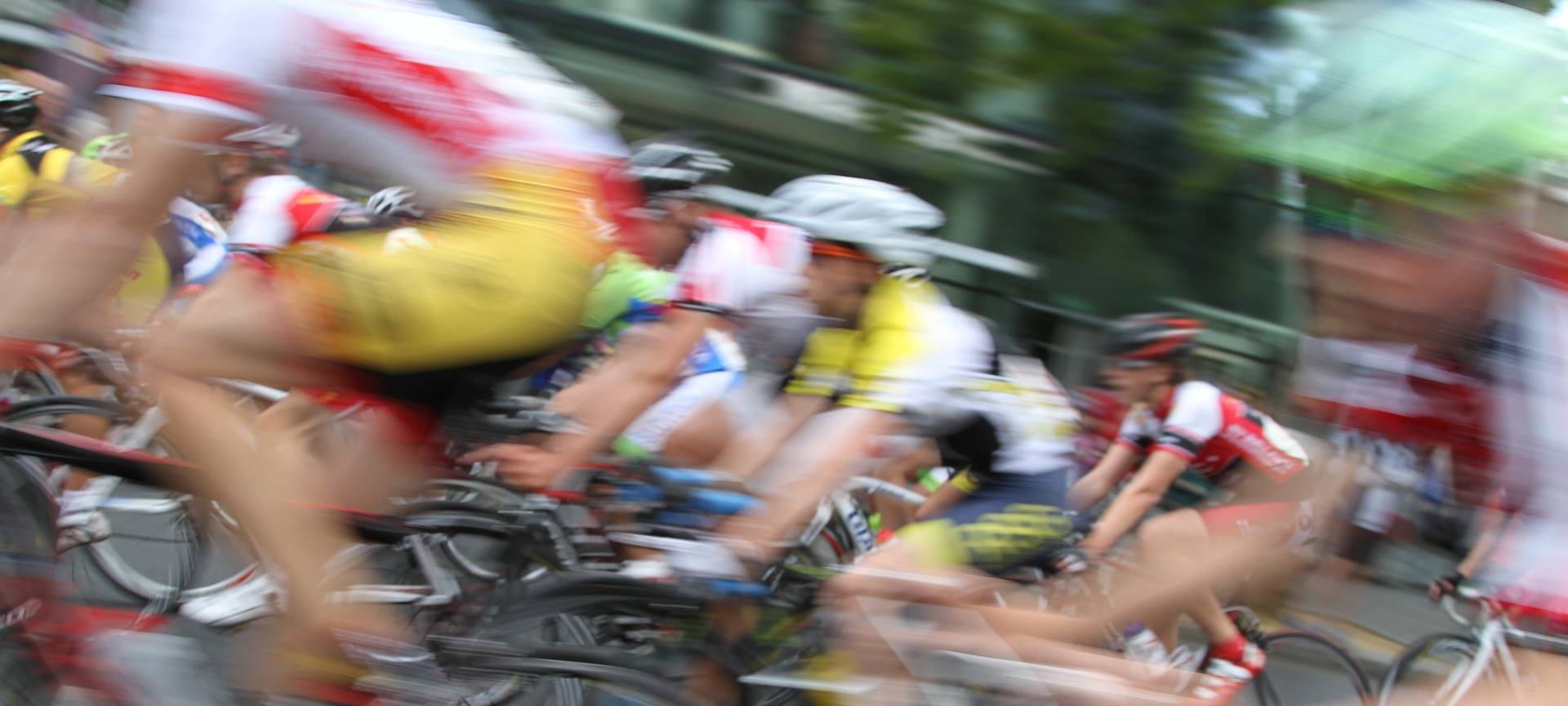 Meisen wieder Meister