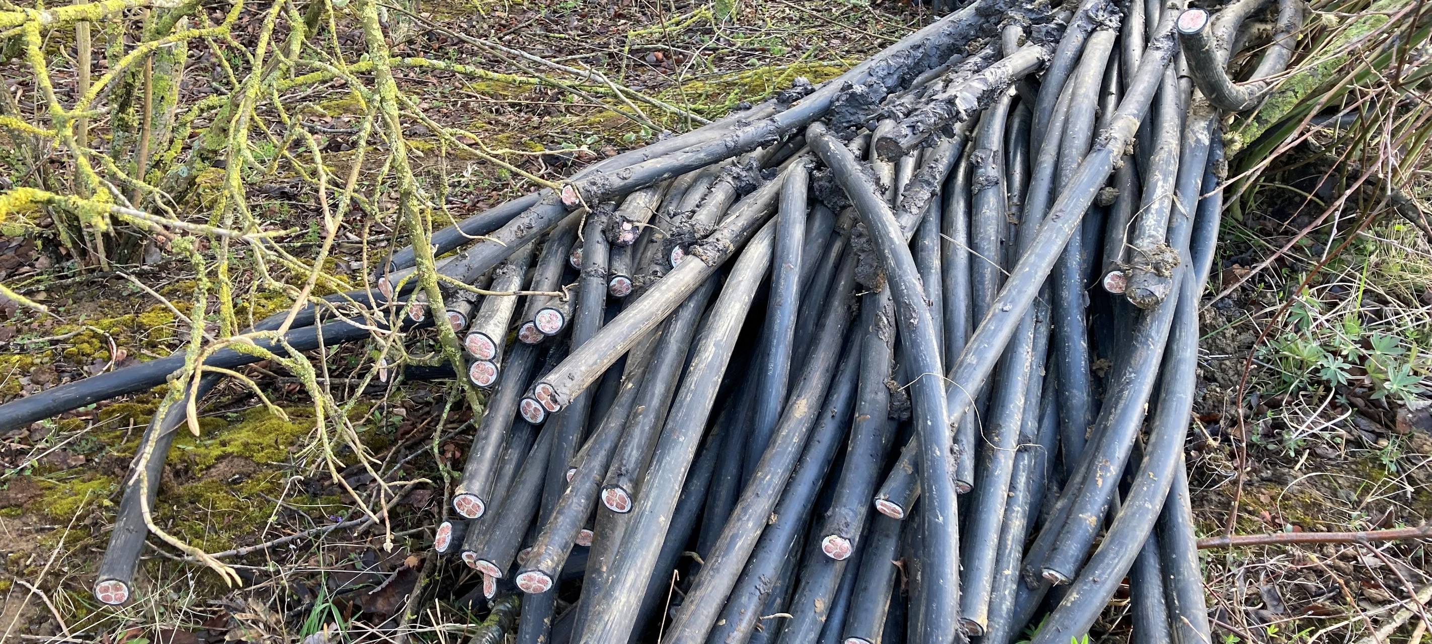 Kabeldiebstahl an Bahnstrecken: Staatsschutz ermittelt