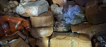 Transporter mit Fischen und Fledermäusen sichergestellt