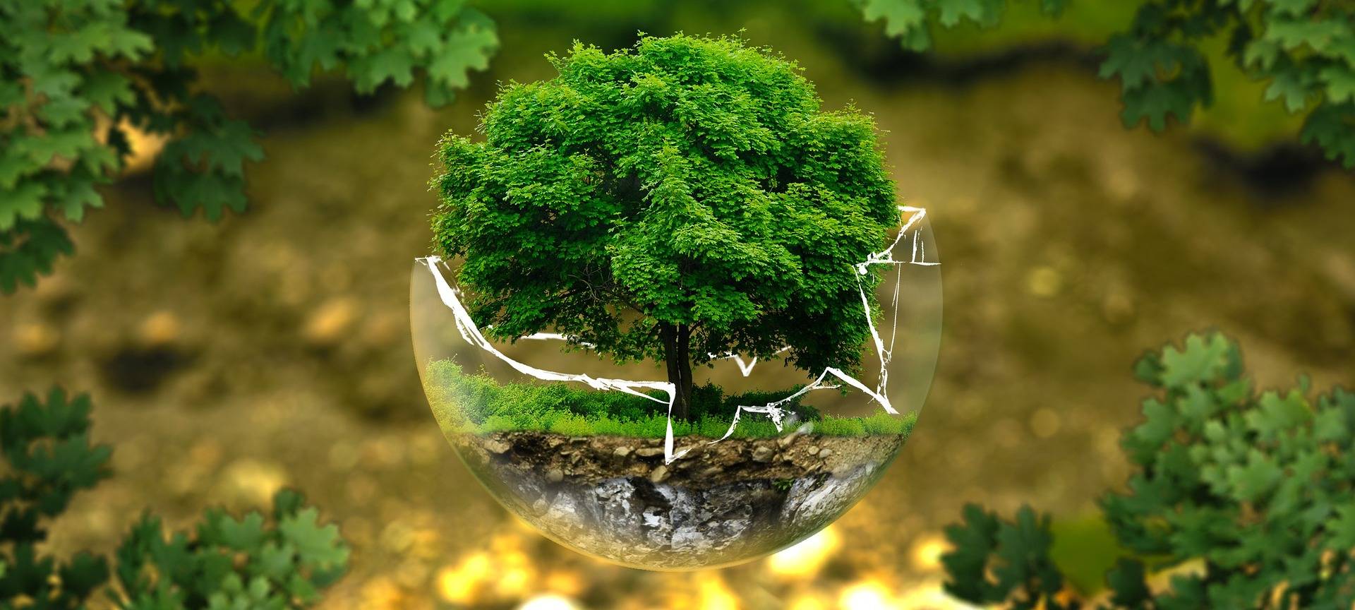 Aachen klimaneutral 2030: Stadt soll nachbessern