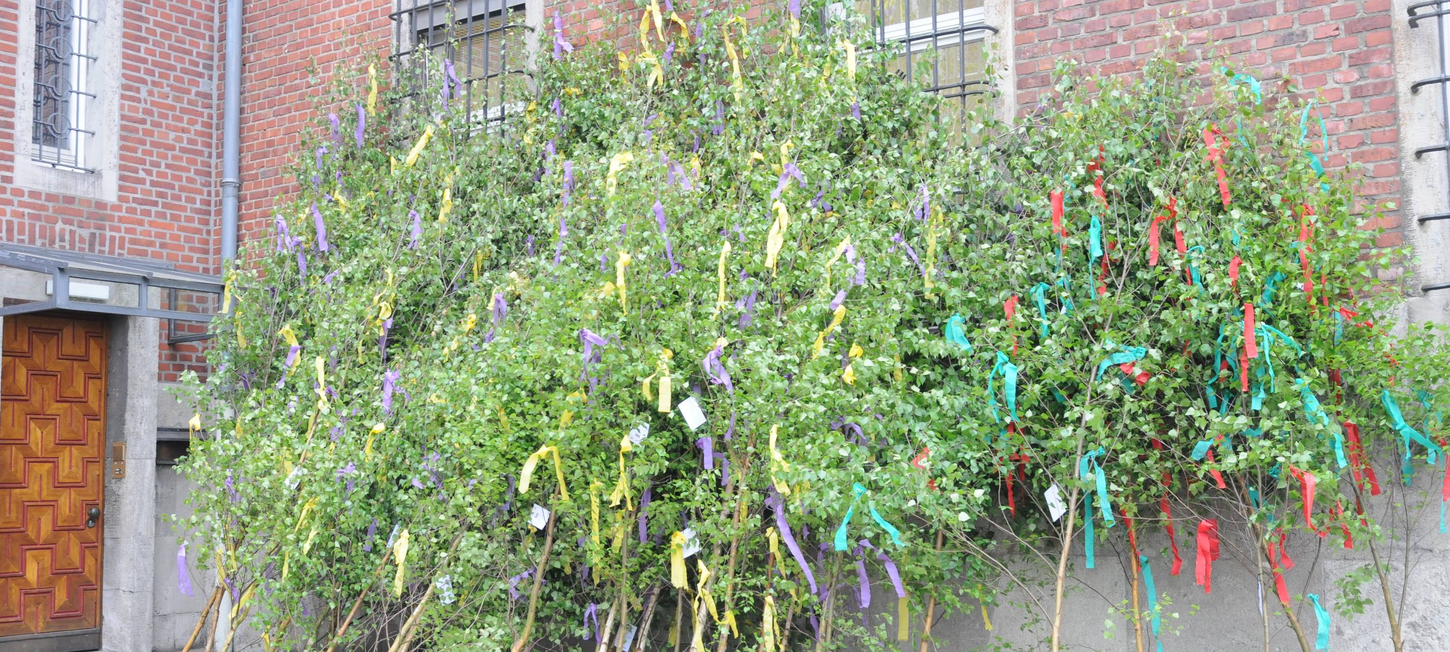 misereor-Maibaumaktion 2023 hilft Erdbebenopfern in Syrien