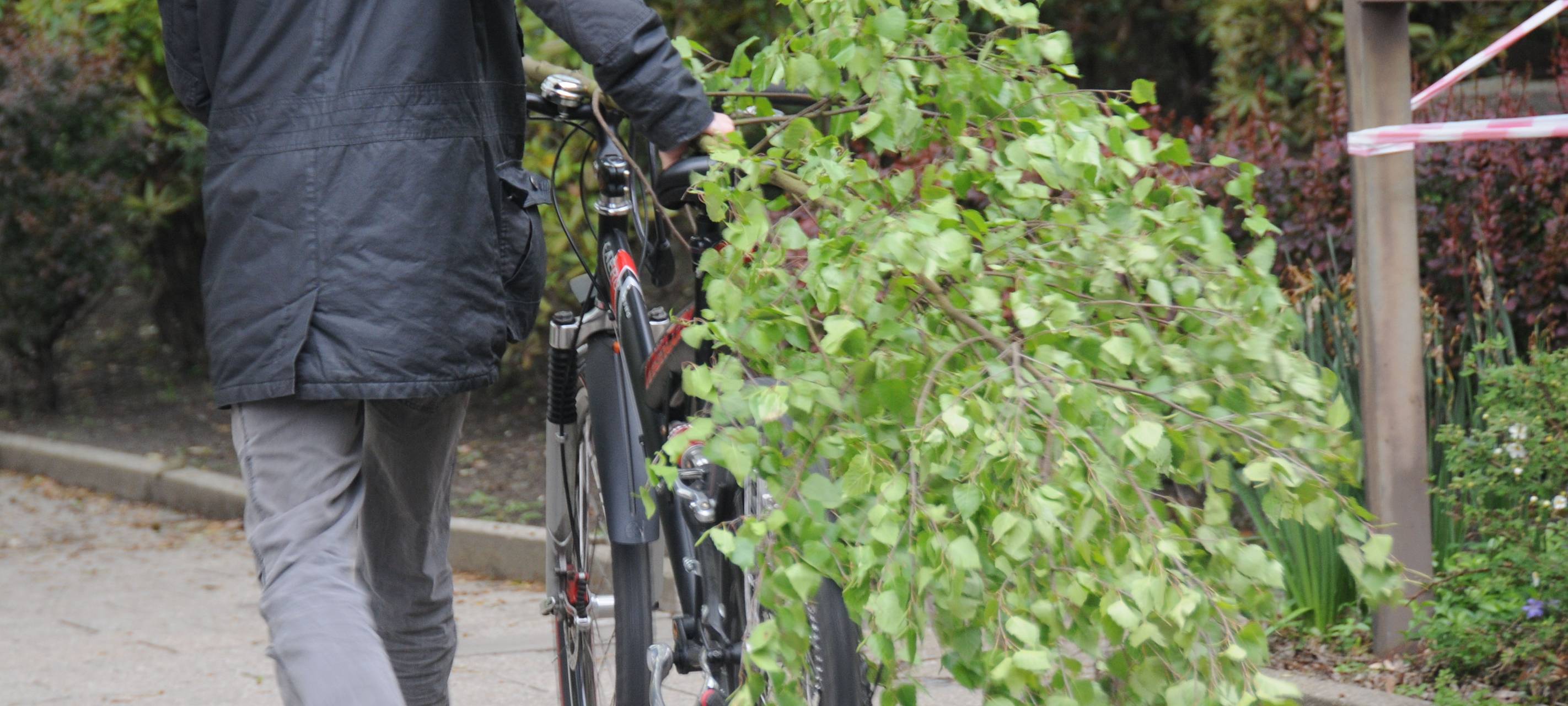 misereor-Maibaumaktion 2023 hilft Erdbebenopfern in Syrien