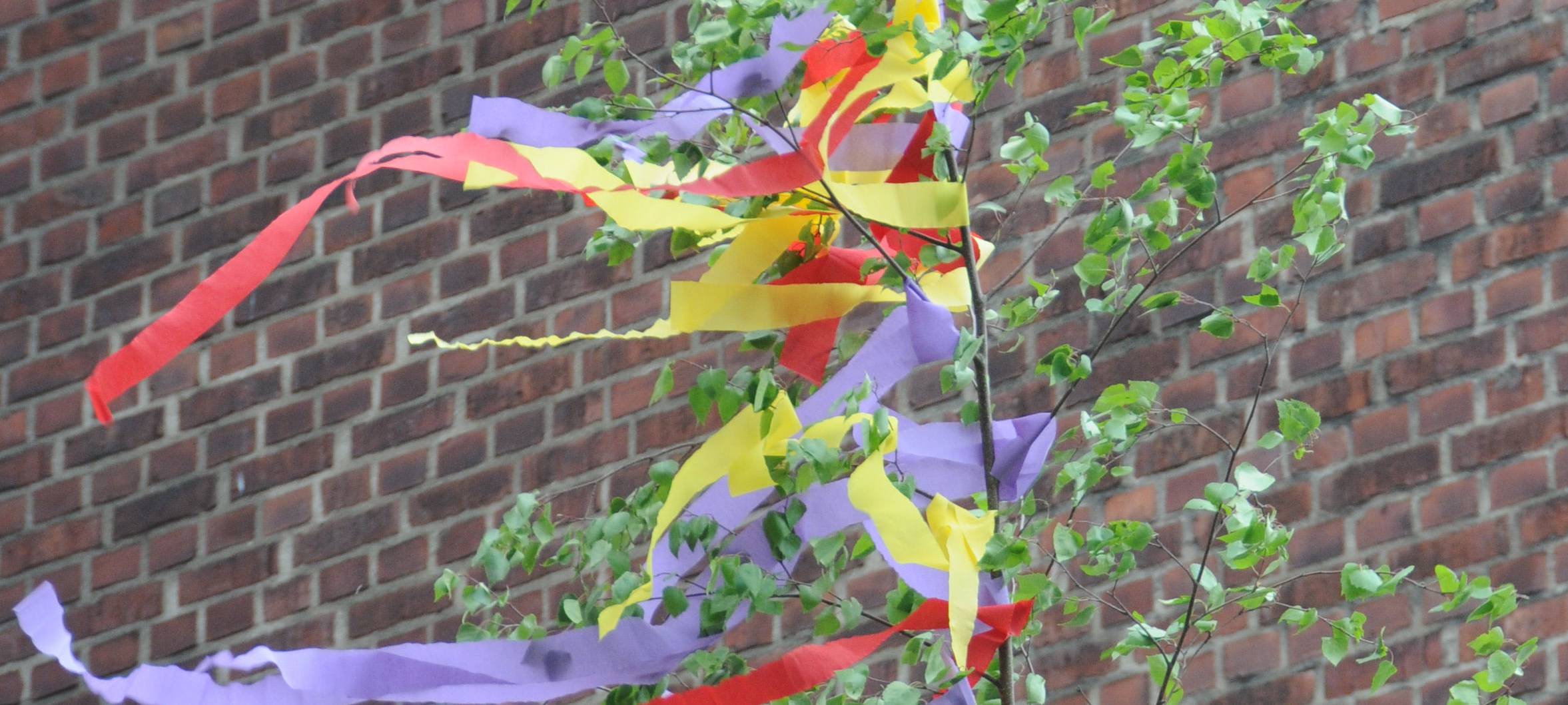 Maibäume nicht selbst schlagen, sondern bitte kaufen!