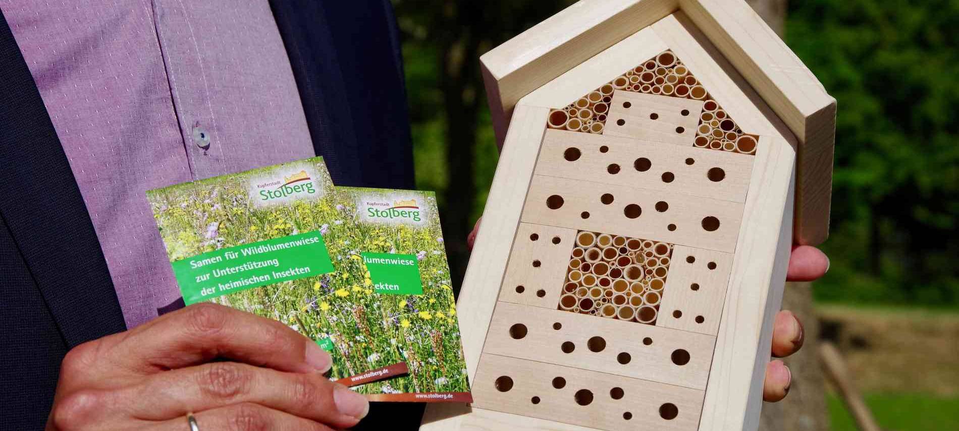 Stadt Stolberg unterstützt insektenfreundliche Gärten und Balkone