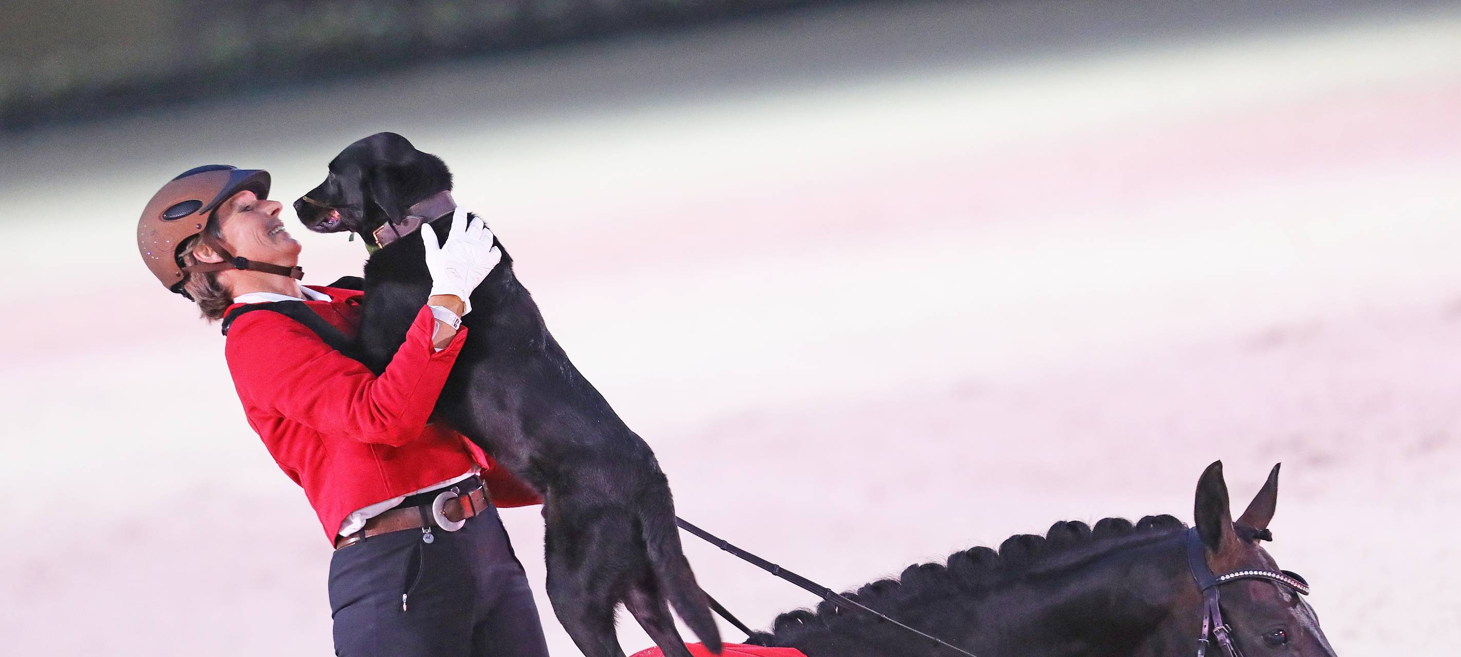 "Pferd und Sinfonie" unter dem Motto "All you need is love"