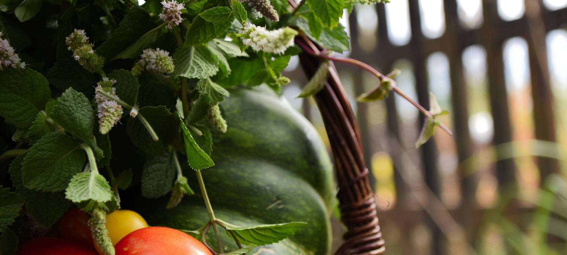 MachbarMarkt in Forst