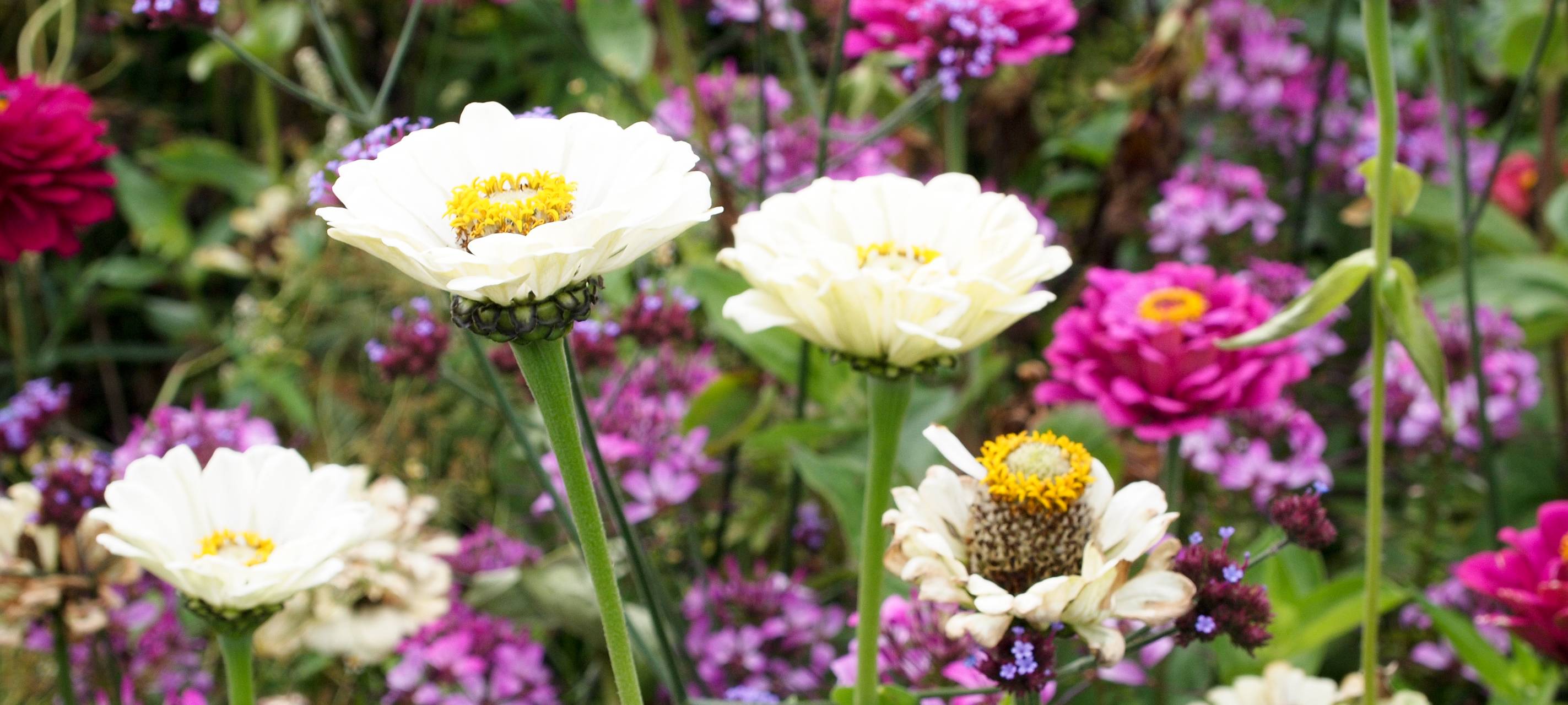 Bund unterstützt Klimaschutz