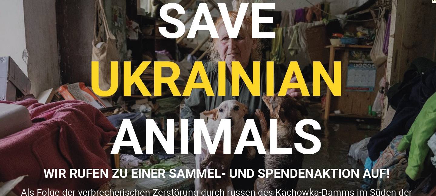 Ukrainer in Aachen helfen geretteten Tieren