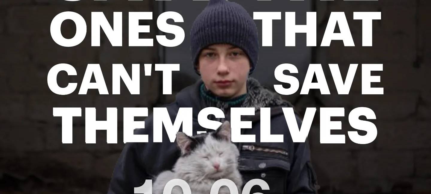 Ukrainer in Aachen helfen geretteten Tieren