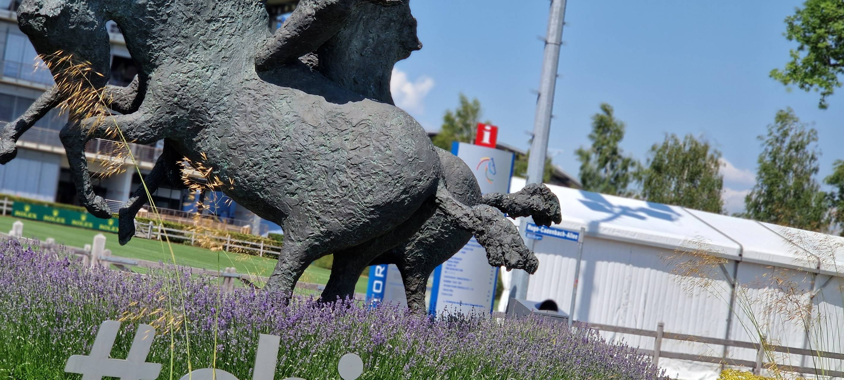 Wie geht es den Pferden beim CHIO in Aachen?