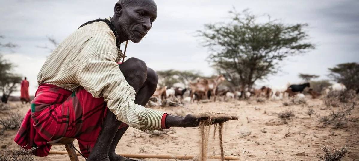 Misereor: 50 Millionen Menschen hungern