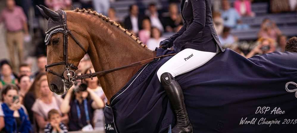 CHIO: Schweiz gewinnt den Nationenpreis