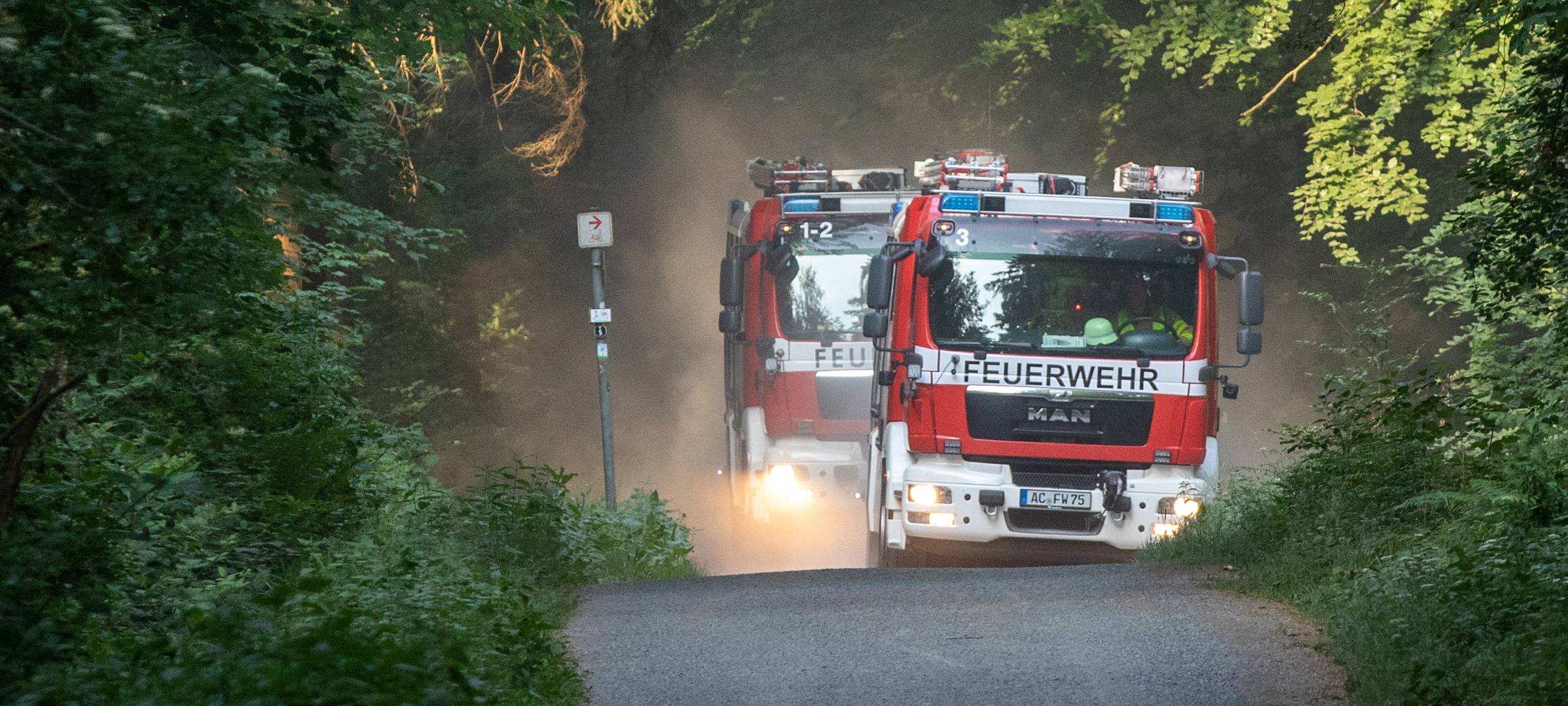 Waldbrandgefahr: Keine Hecken oder Baumreste verbrennen