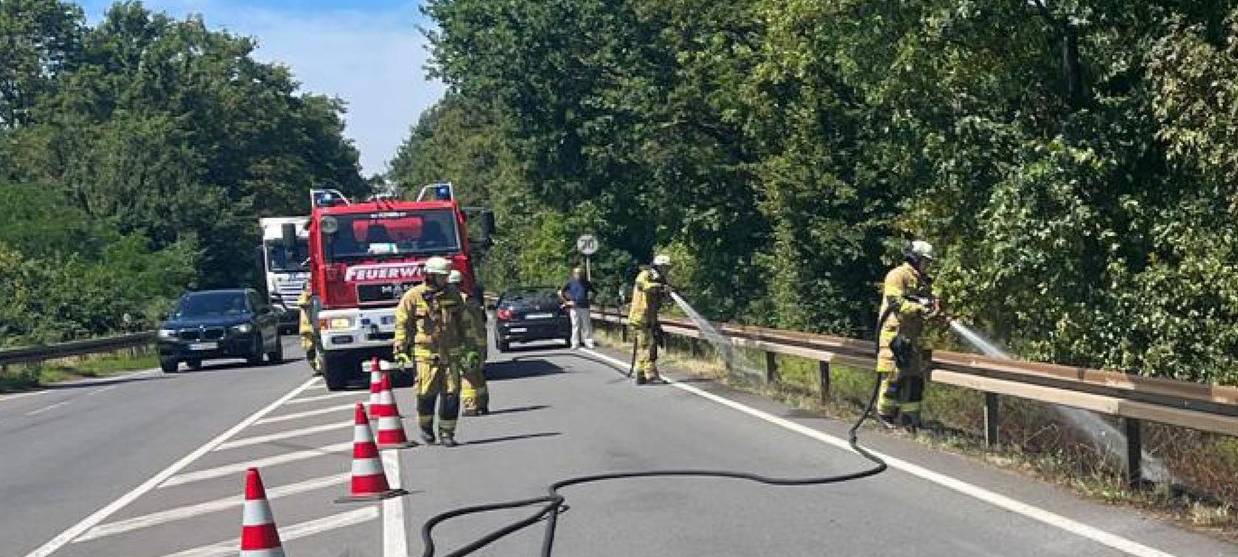 Feuer wegen brennender Kippe?