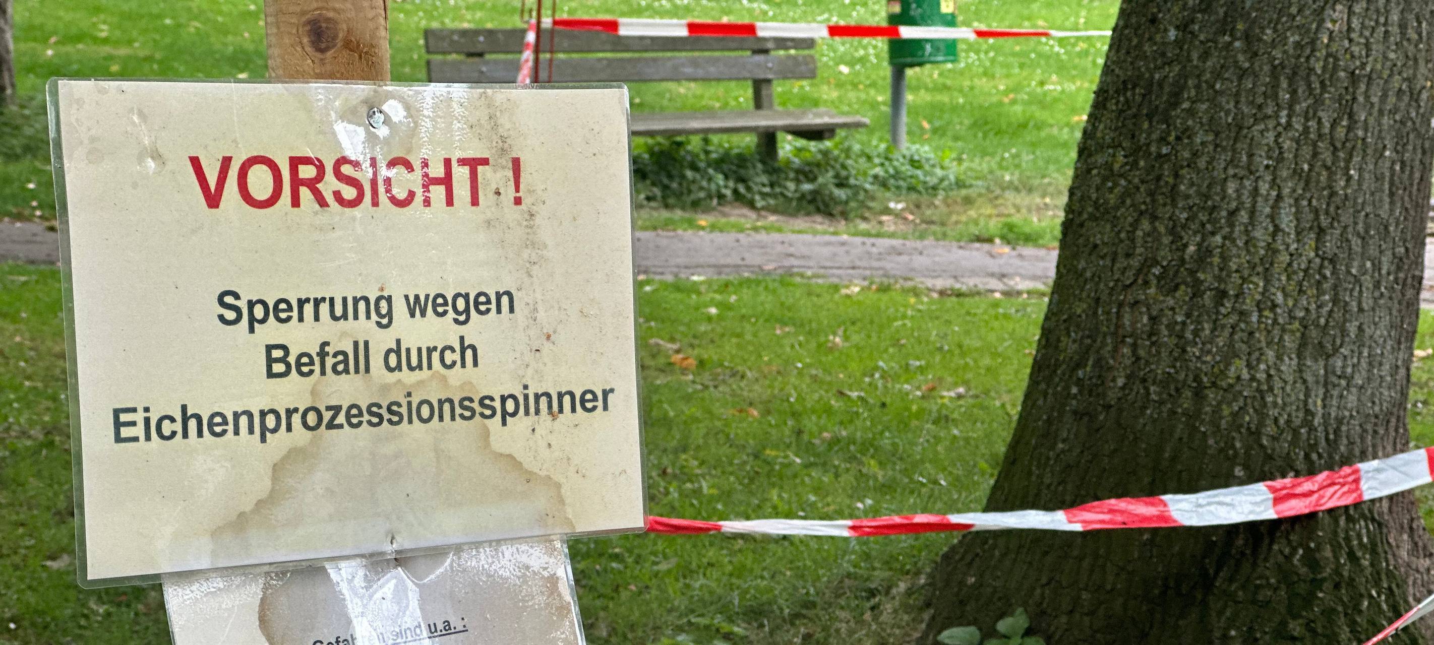 Würselen: Absperrung wegen Eichenprozessionsspinner