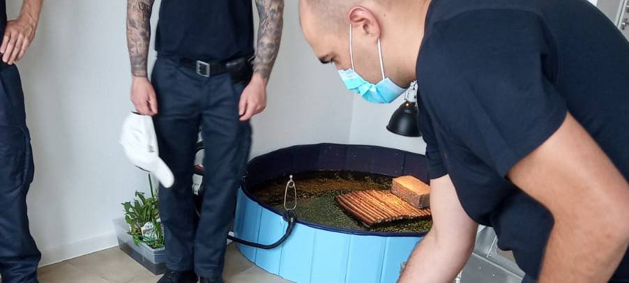 Feuerwehrleute lernen Umgang mit Reptilien