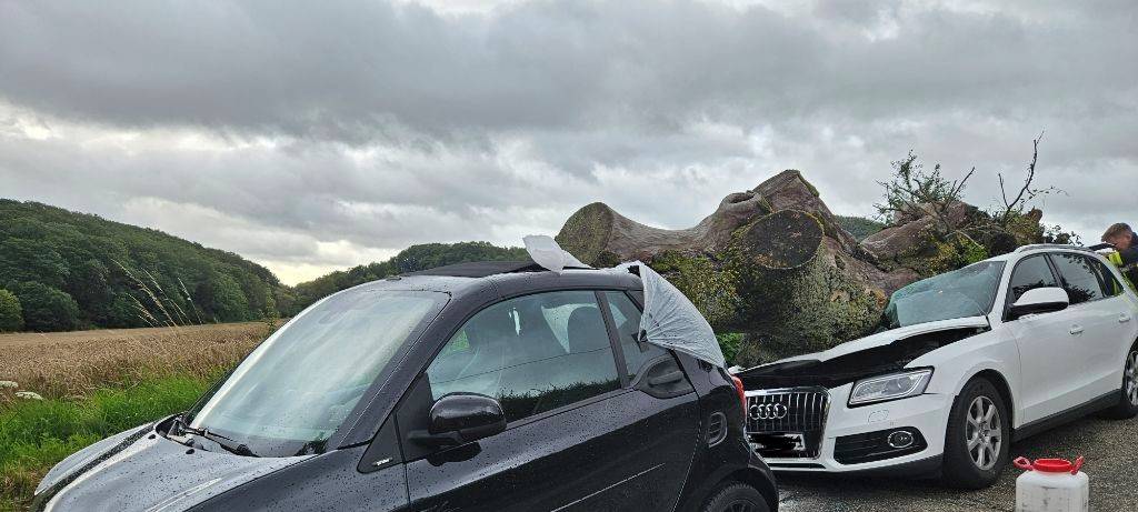 Wenige wetterbedingte Einsätze