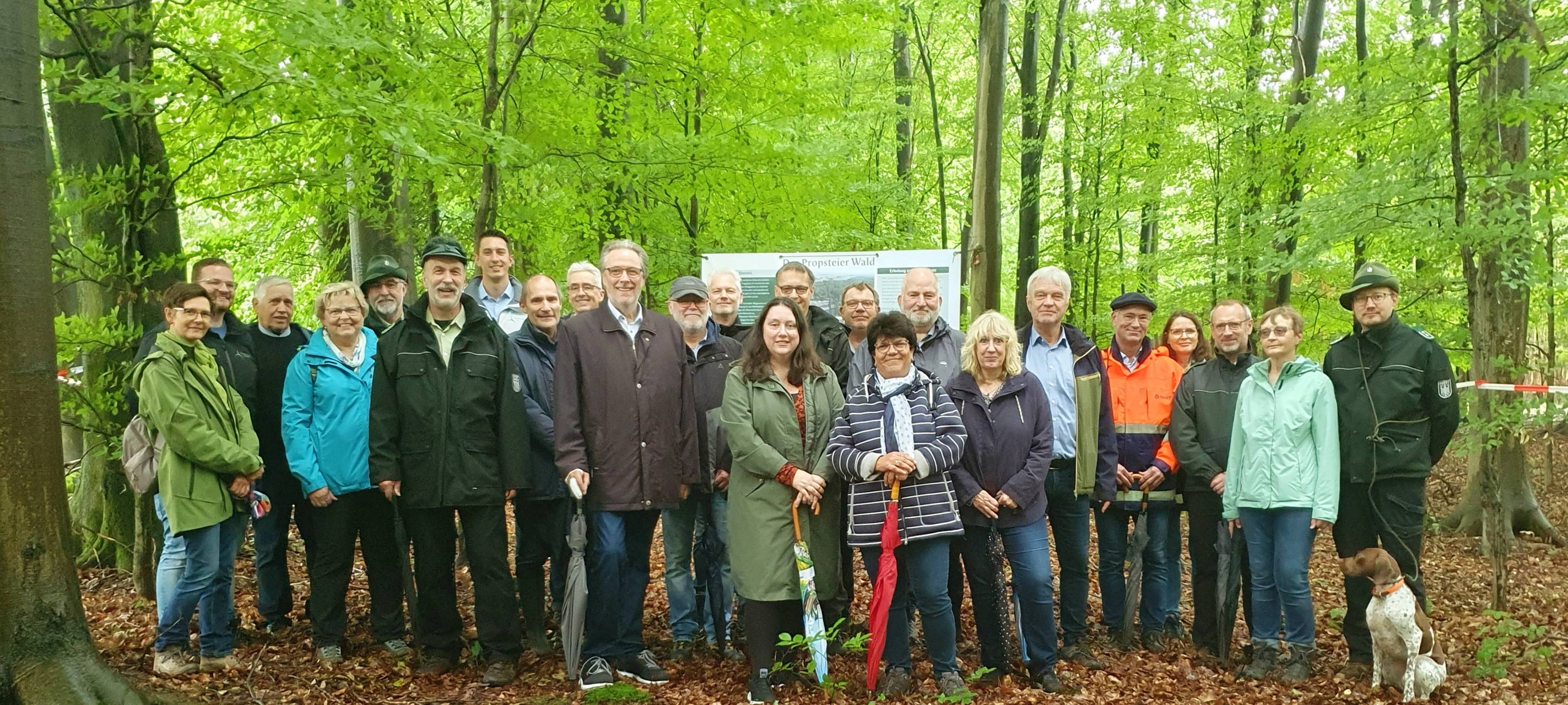 Propsteier Wald: Neuer Rundwanderweg