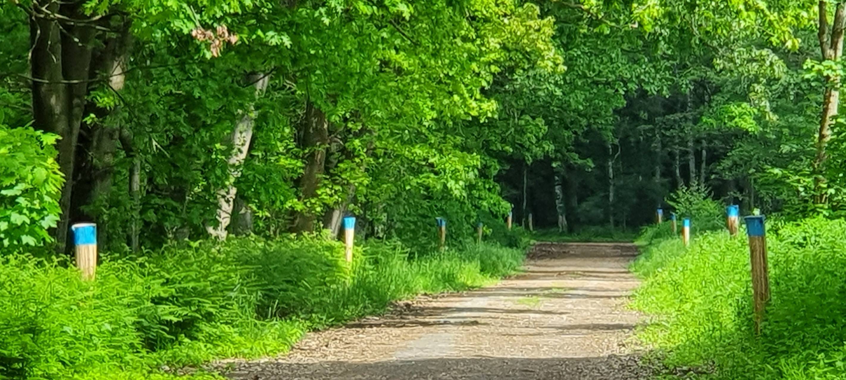 Sperrungen im Propsteier Wald