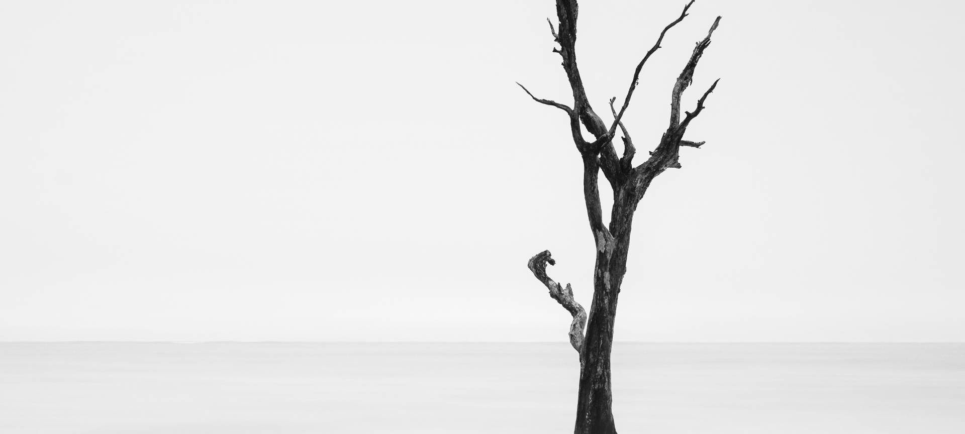 Nationalpark Eifel: „Glanzlichter der Naturfotografie 2023“