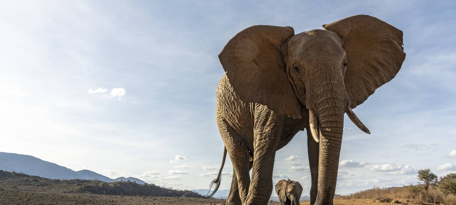 Nationalpark Eifel: „Glanzlichter der Naturfotografie 2023“