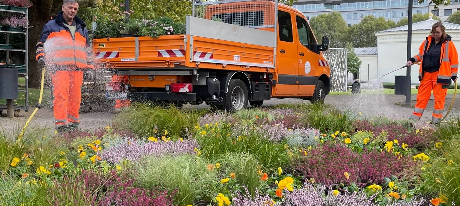 Stadtgärtnerei sorgt für Herbstflor in Aachen