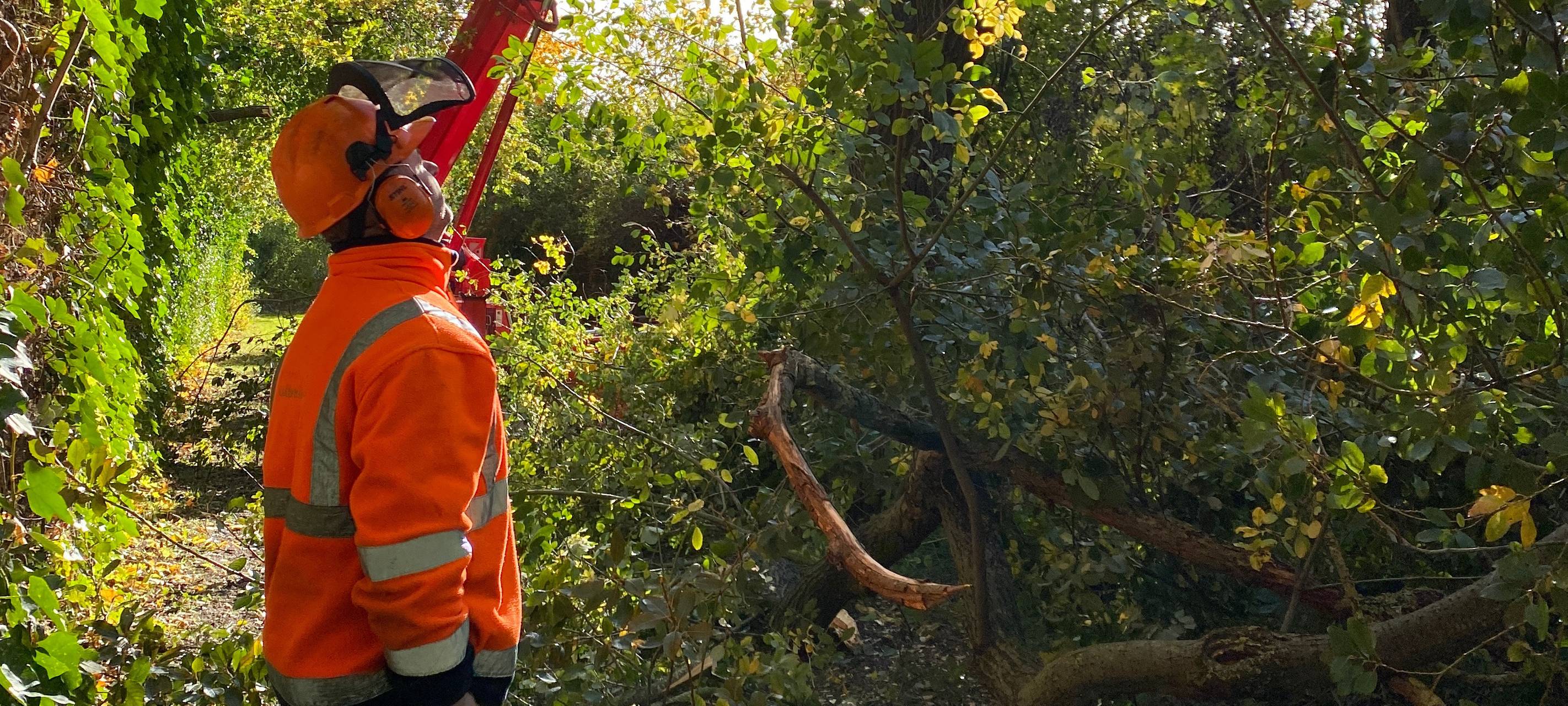 Ausläufer des Orkantiefs "Emir"