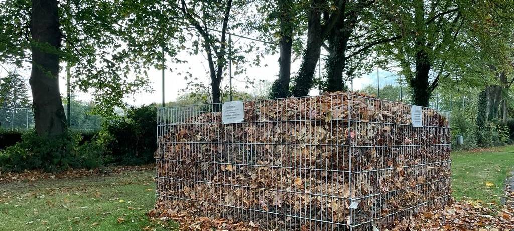 Laubkisten in Würselen