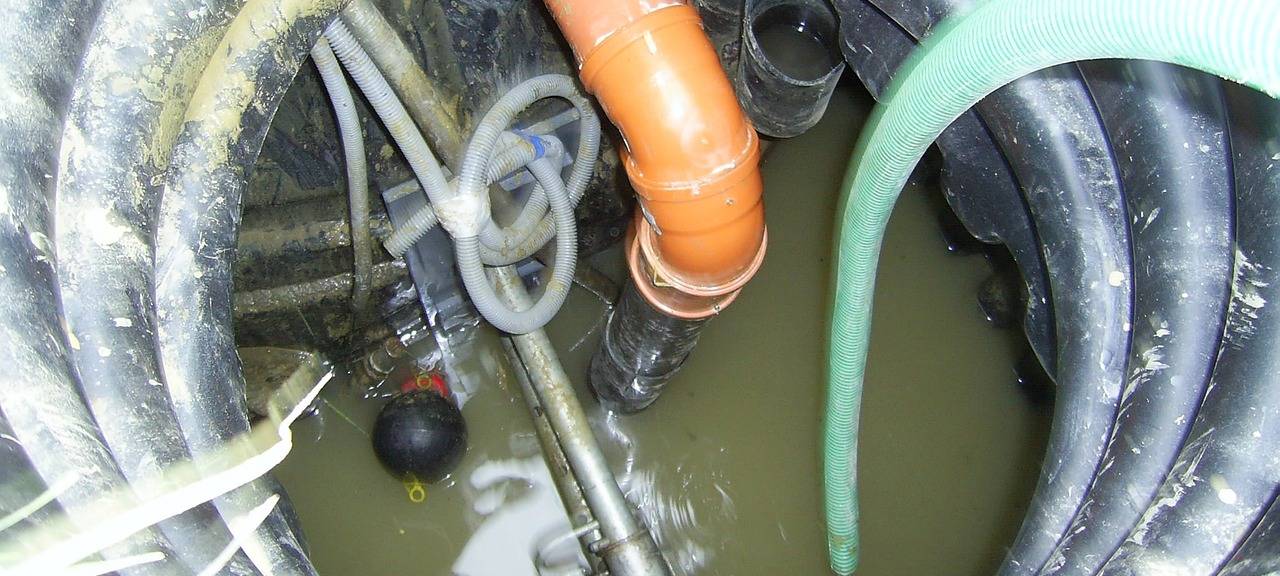 Alsdorf: Achtung, "Kanalhaie" unterwegs!