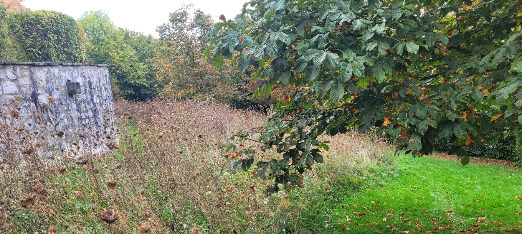 Schon über 30 FLIP-Wiesen in Aachen