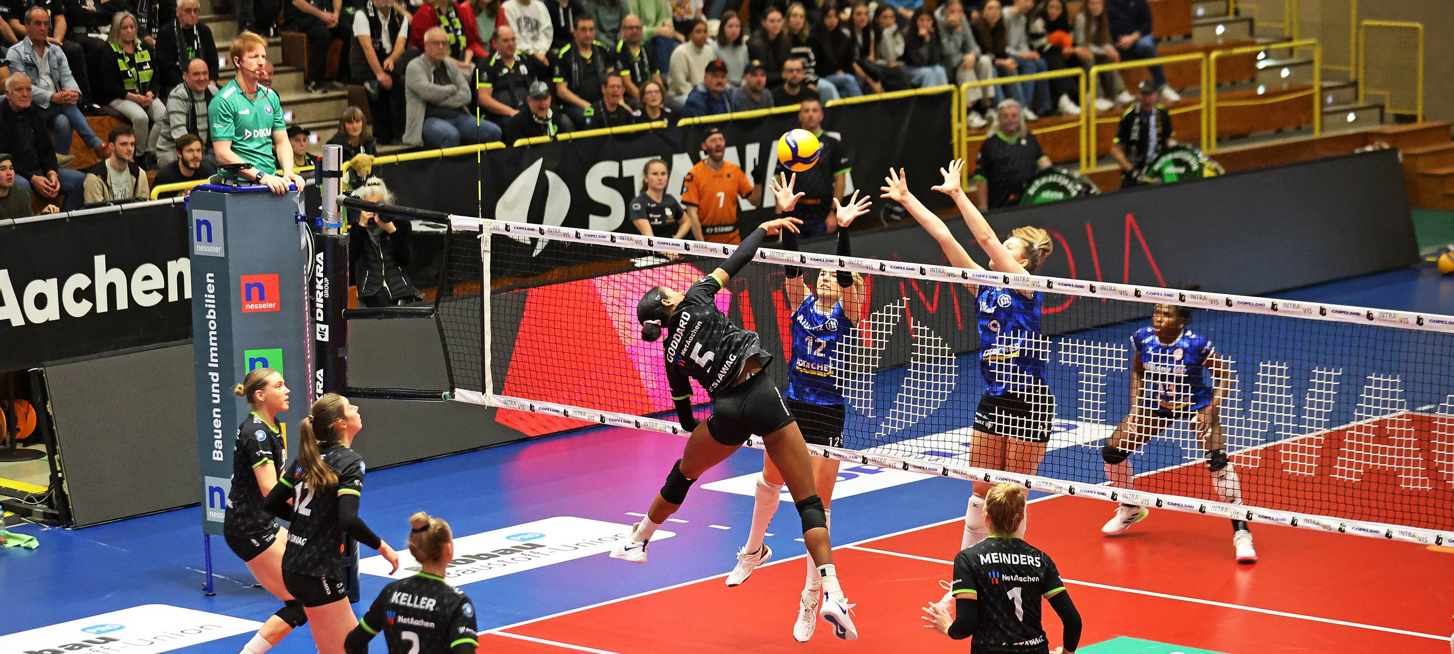 Ladies in Black sind raus aus dem Rennen um den DVV-Pokal