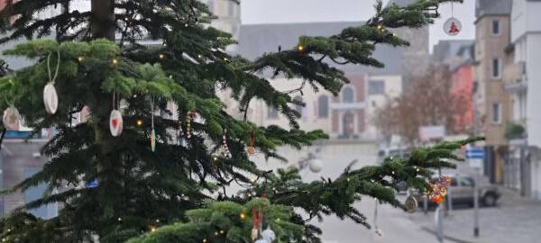 Weihnachtsbäume in Würselen aufgestellt