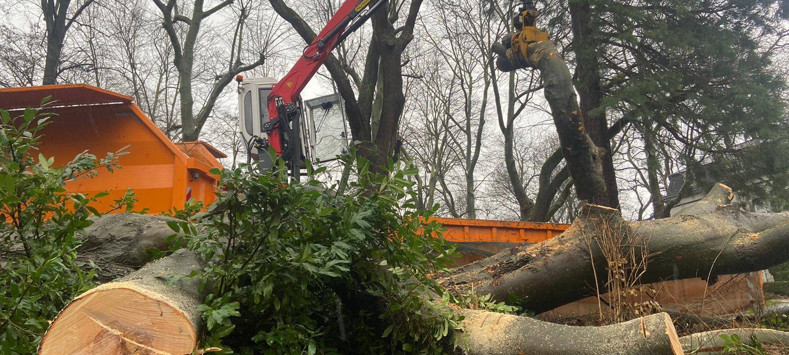 Aachen: Sturmschäden vor allem am Lousberg